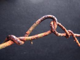 linked to rust