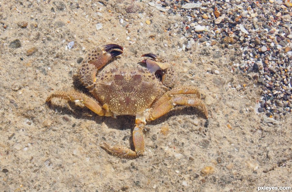 Decaying at beach