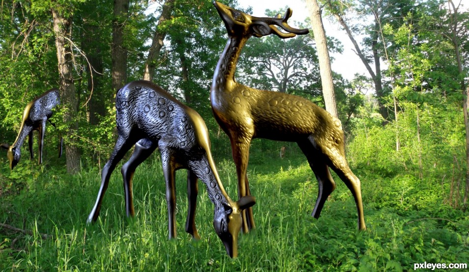 Creation of Deer in Woods: Final Result
