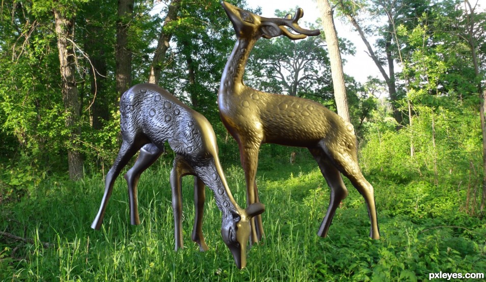 Creation of Deer in Woods: Step 2