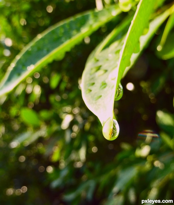 World in the water drop