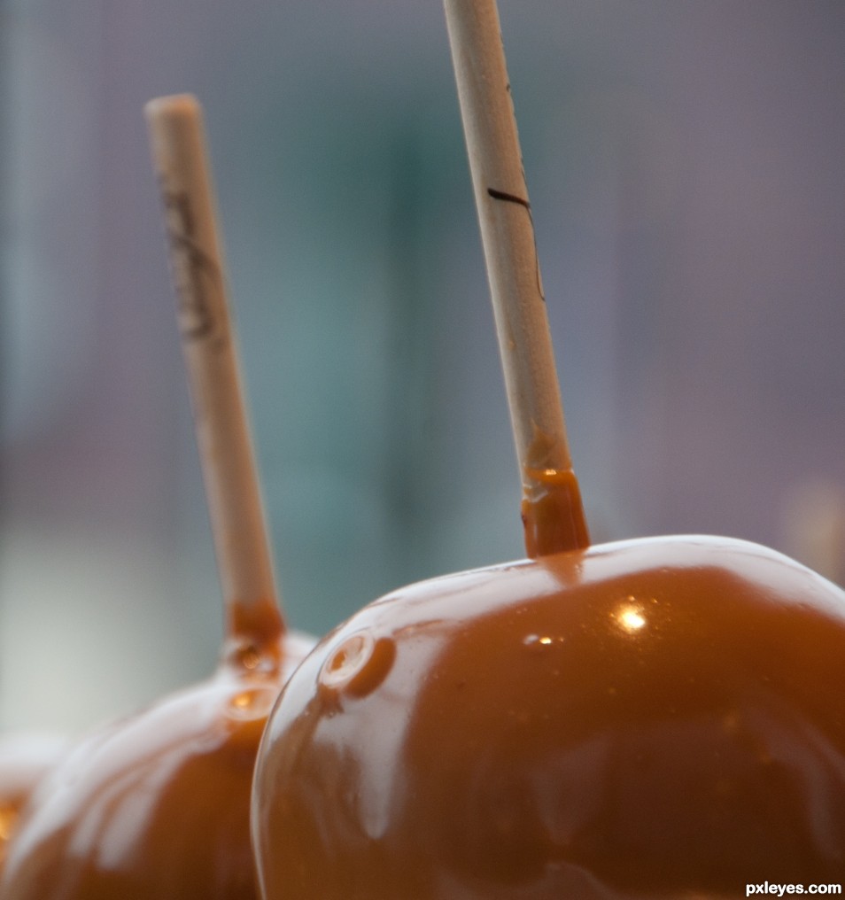 Caramel Apples