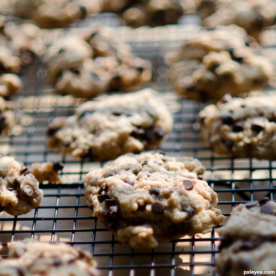 Chocolate Chip Cookies