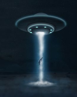 Alien Abduction