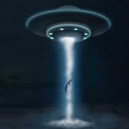 Alien Abduction Picture