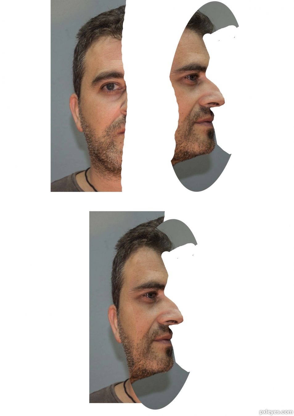 Creation of double avatar: Step 2