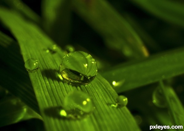 Droplets on a picnic 