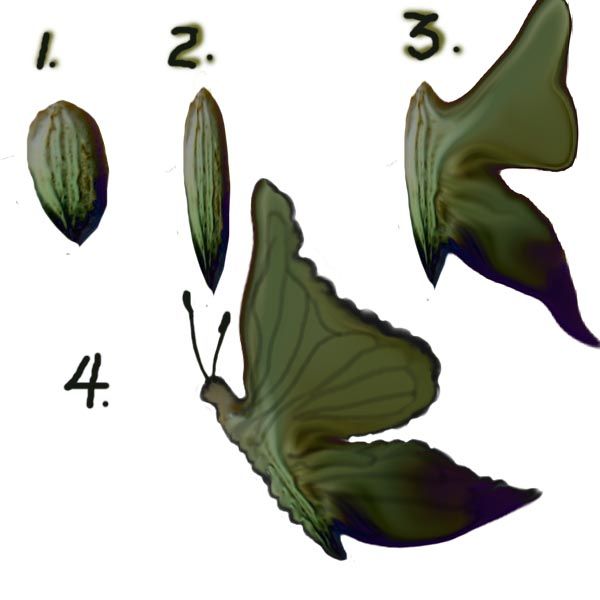 Creation of Dilly, Dilly Arrangement: Step 12