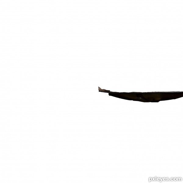 Creation of Henry: Step 1