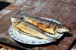 Grilled fish