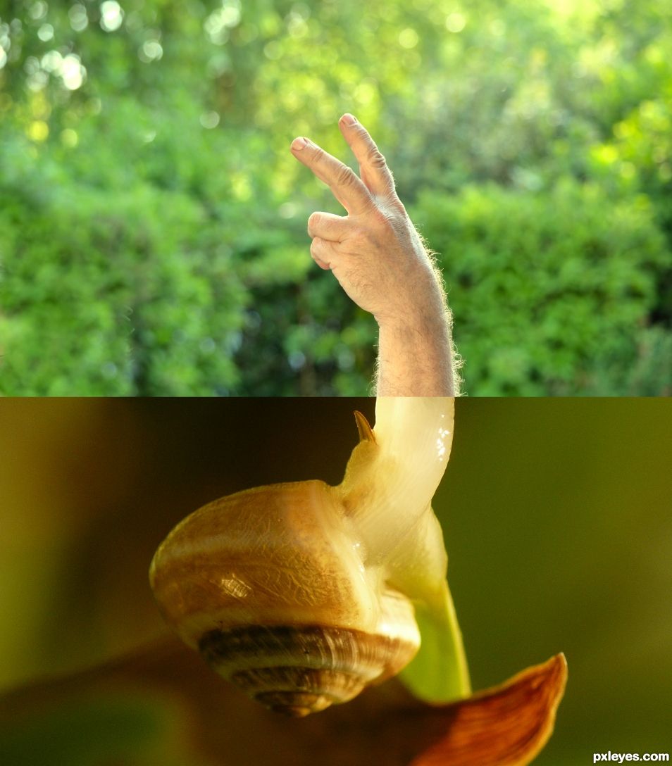 Snail fingers