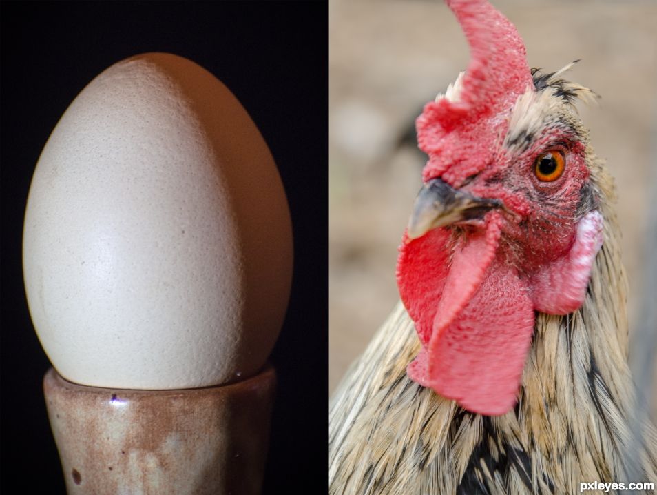 The Eternal Question - What was first created? Egg or Chicken