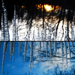 icicles    Picture