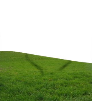 Creation of Which Road?: Step 1
