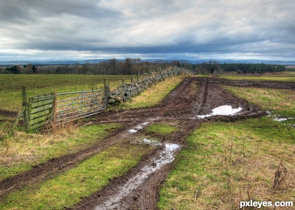 Muddy Track