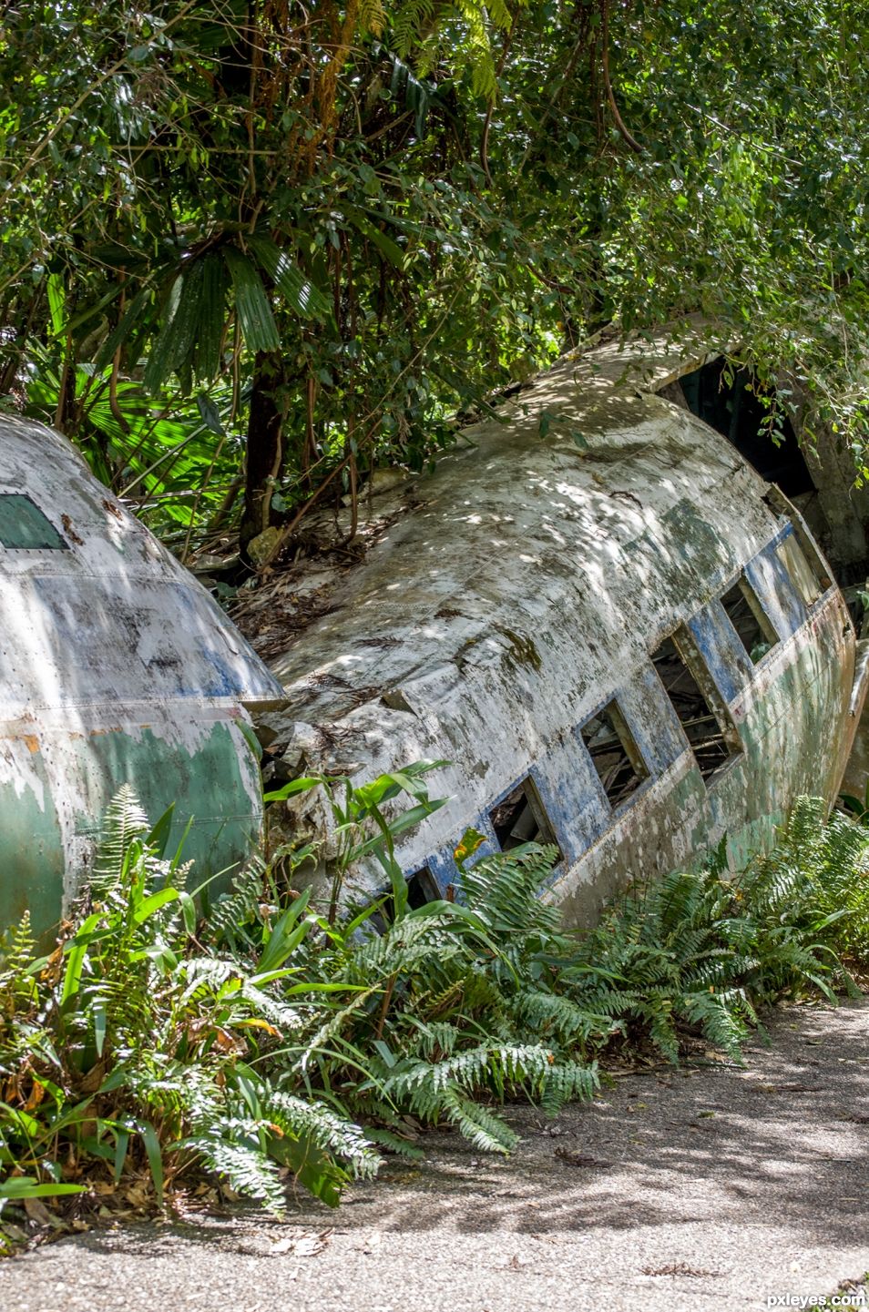 Plane wreck