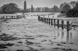 No picnic today