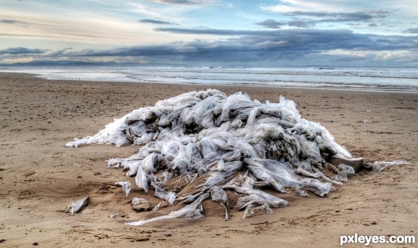 Washed Up Plastic