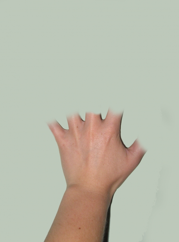 Creation of Wrong Experiment: Step 3
