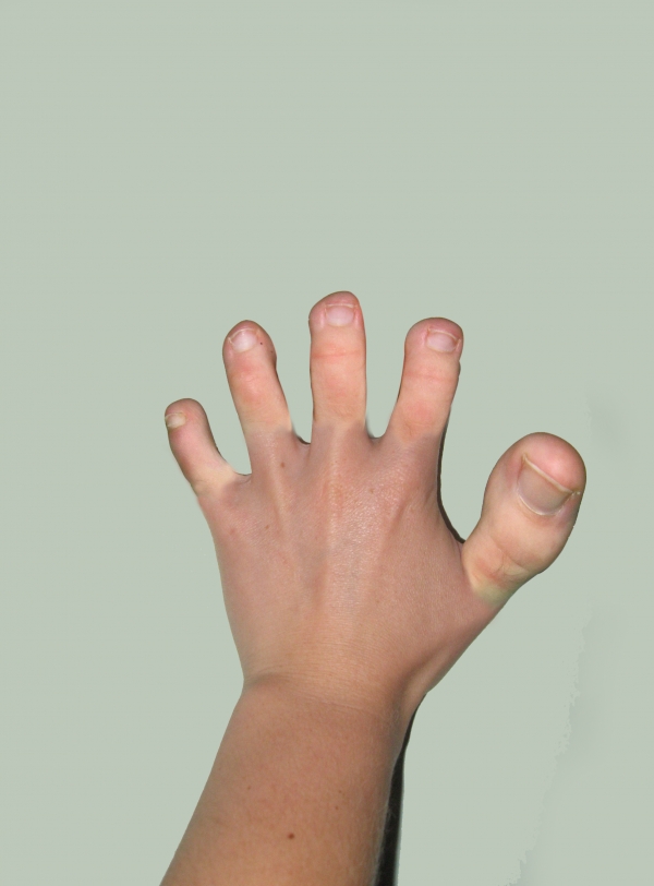 Creation of Wrong Experiment: Step 5
