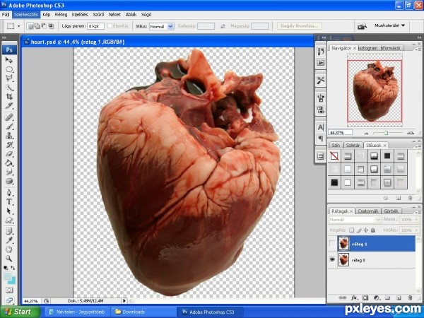 Creation of Ice heart: Step 1