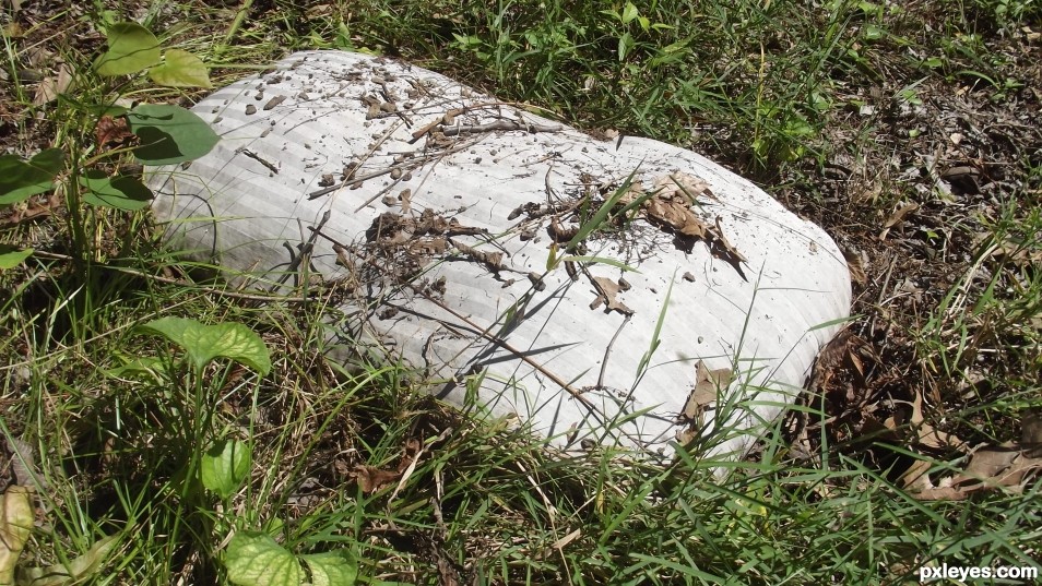 Discarded pillow