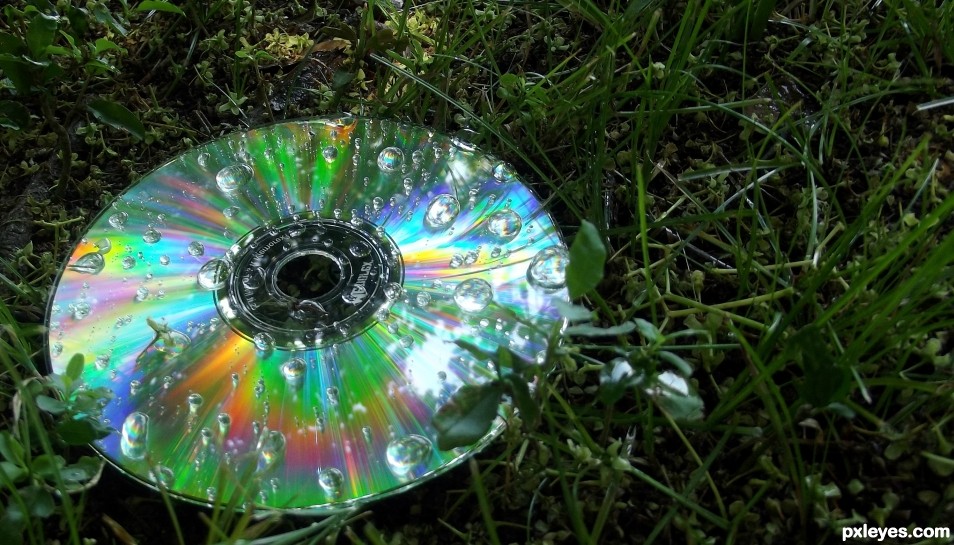 CD