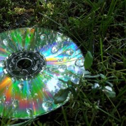 CD