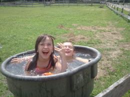 In the horse trough