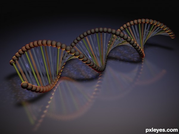 Creation of DNA: Final Result