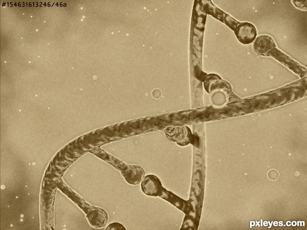 Creation of DNA Macro: Final Result