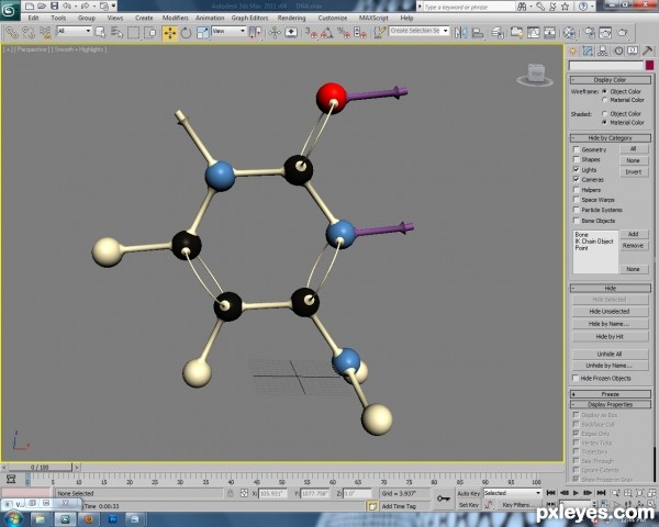 Creation of Colorful DNA: Step 3