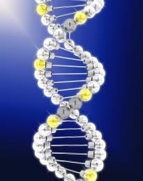 lighting DNA