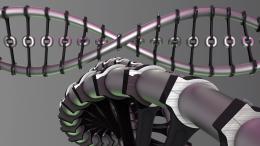 Mechanical DNA