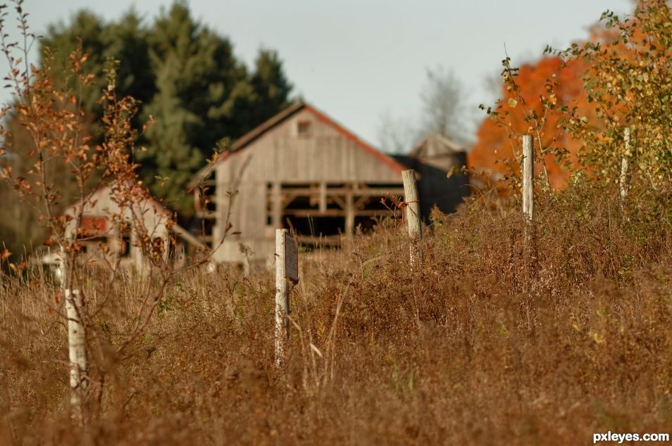 Autumn Fences