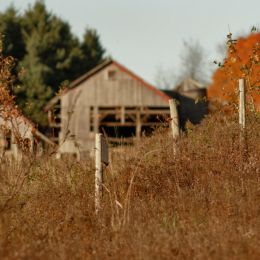 AutumnFences