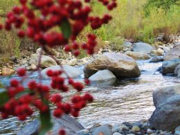 Russian River