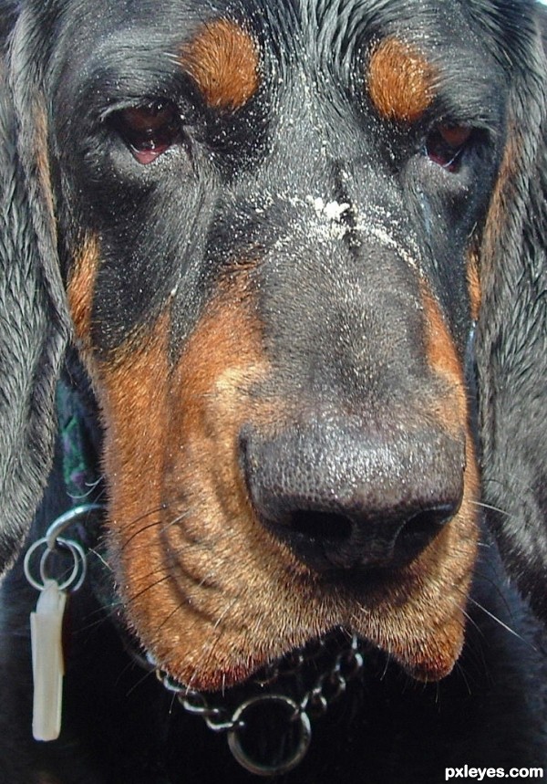 Wet and Sandy