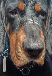 Wet and Sandy