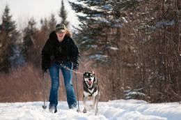 Skijoring