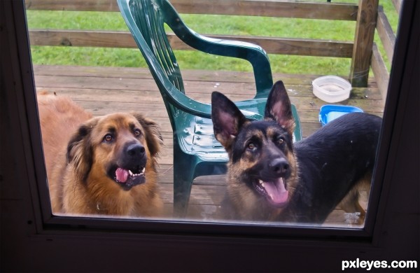 Can we come in, please?