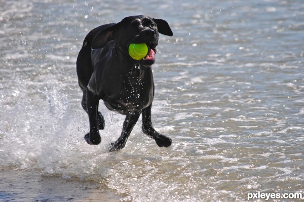 Rippin Through the Ocean