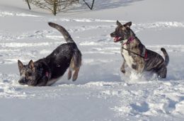 Deep Snow Playground