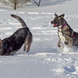 Deep Snow Playground Picture