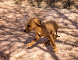 Finding his feet