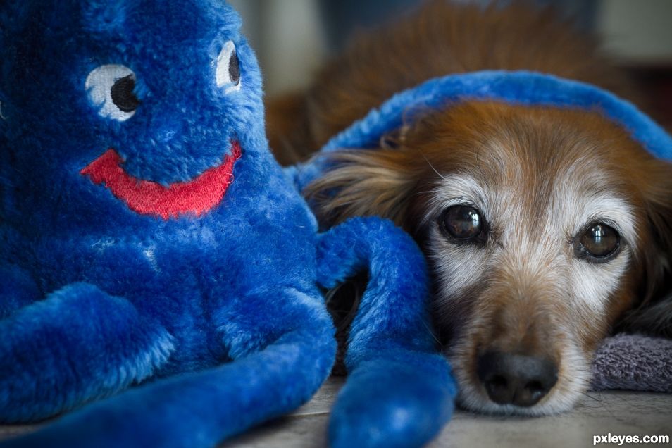 Blue and Red