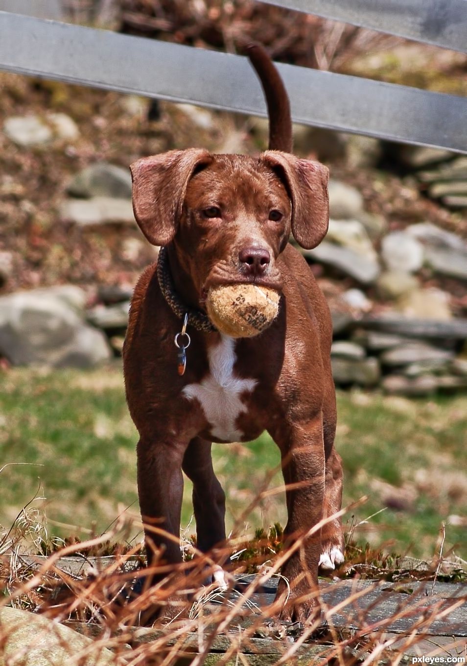 Wanna Play Ball?