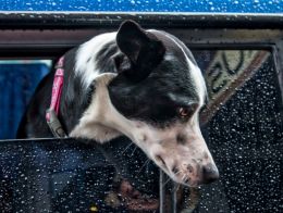 I dont care that its wet, take me with you.