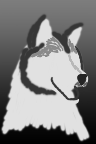 Creation of Husky: Step 2