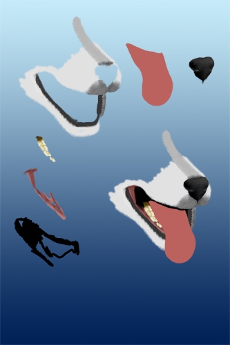 Creation of Husky: Step 3